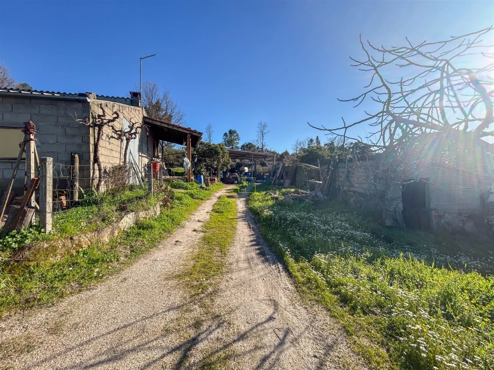 Terreno Agricola ou Rústico para Venda em Penamacor Foto 31