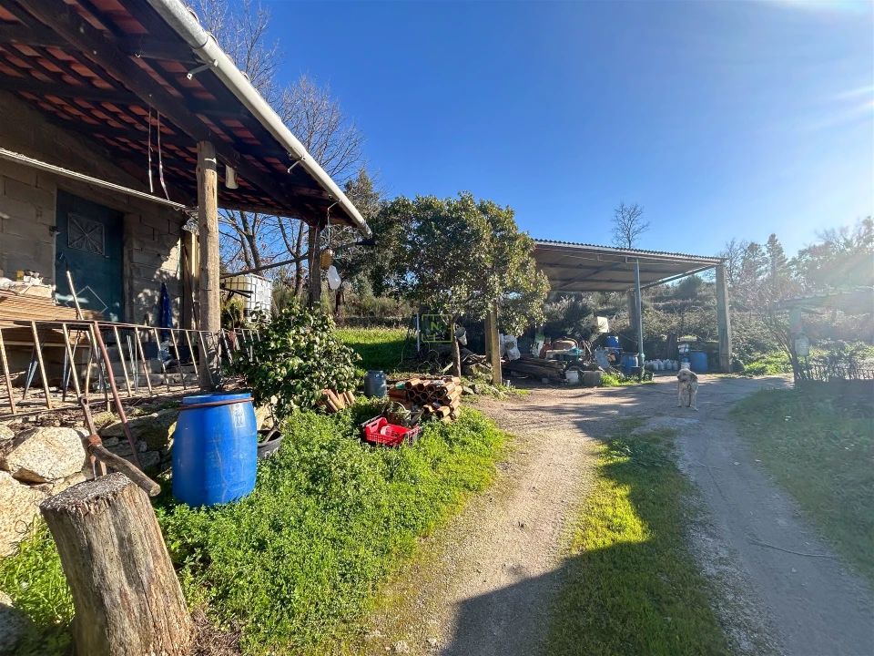 Terreno Agricola ou Rústico para Venda em Penamacor Foto 36