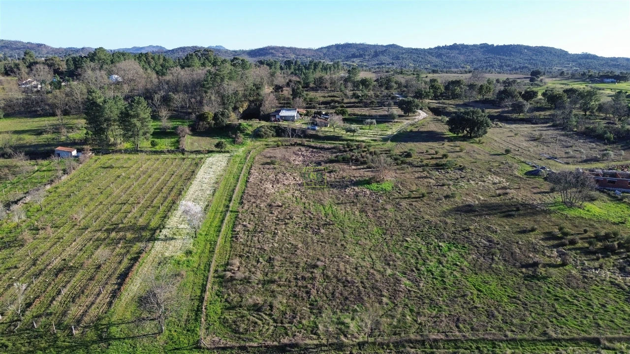 Terreno Agricola ou Rústico para Venda em Penamacor Foto 26