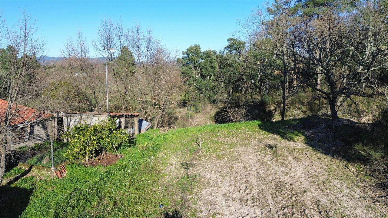Terreno Agricola ou Rústico para Venda em Penamacor Foto 13