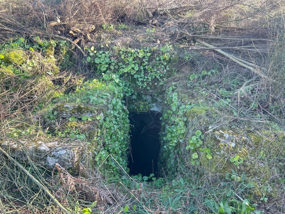 Terreno Agricola ou Rústico para Venda em Penamacor Foto 42