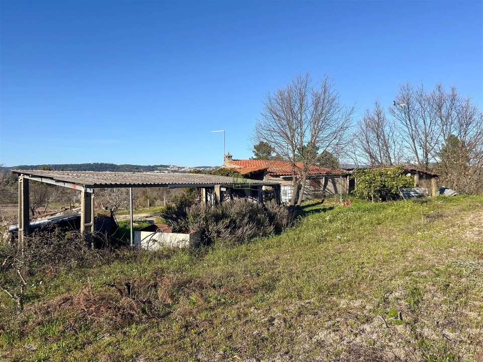 Terreno Agricola ou Rústico para Venda em Penamacor Foto 43