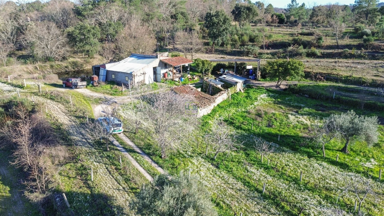 Terreno Agricola ou Rústico para Venda em Penamacor Foto 22