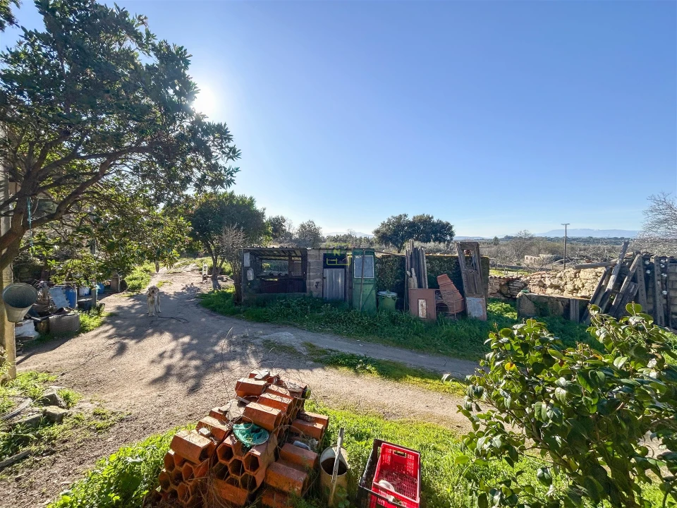 Terreno Agricola ou Rústico para Venda em Penamacor Foto 37