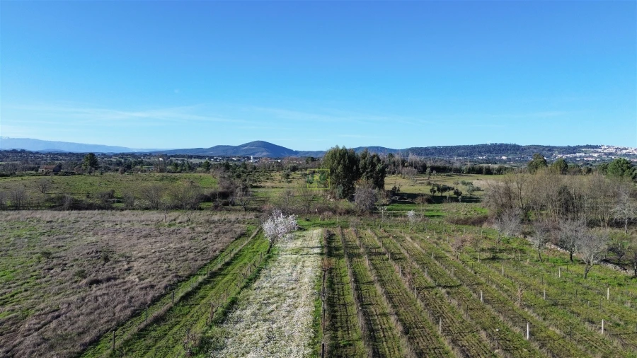 Terreno Agricola ou Rústico para Venda em Penamacor Foto 6
