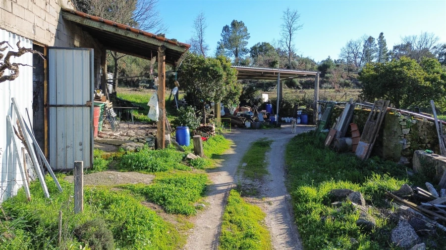 Terreno Agricola ou Rústico para Venda em Penamacor Foto 23