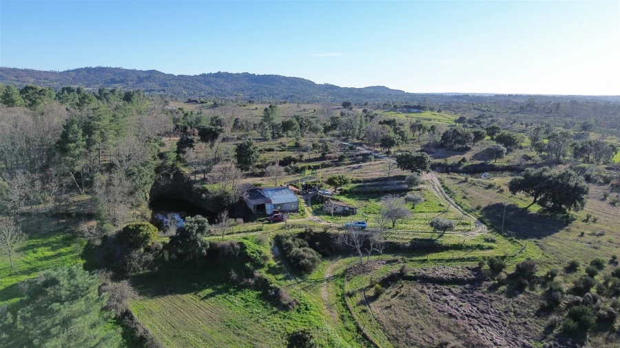 Terreno Agricola ou Rústico para Venda em Penamacor Foto 16