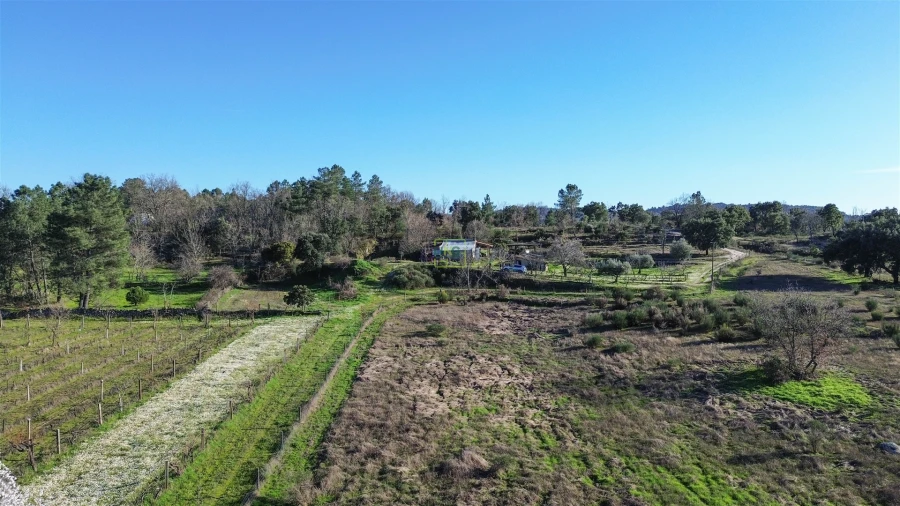 Terreno Agricola ou Rústico para Venda em Penamacor Foto 7