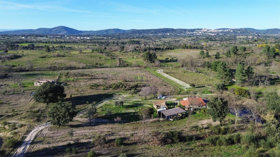Terreno Agricola ou Rústico para Venda em Penamacor Foto 28