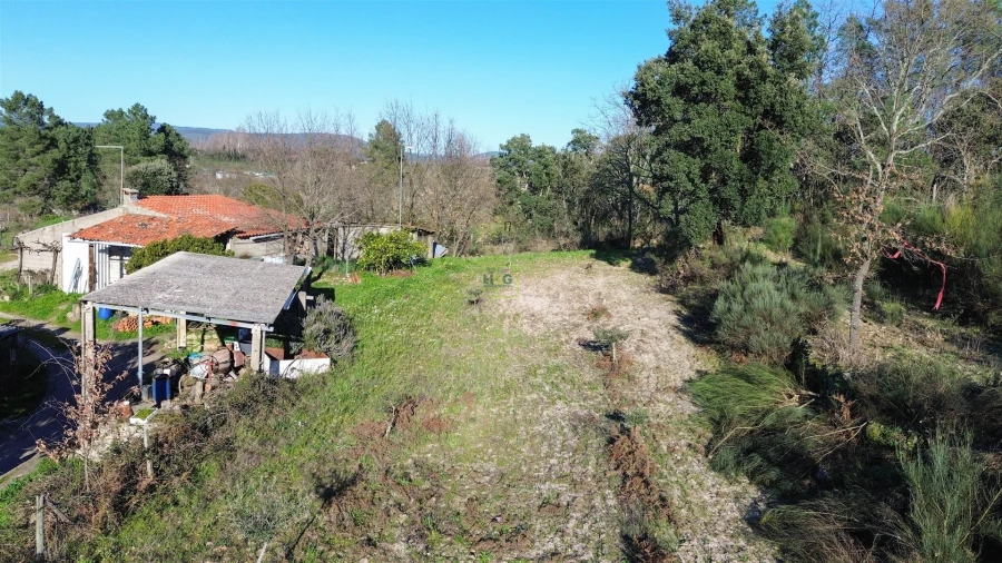 Terreno Agricola ou Rústico para Venda em Penamacor Foto 12