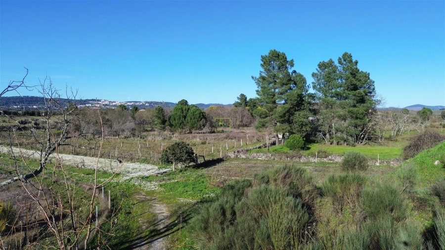 Terreno Agricola ou Rústico para Venda em Penamacor Foto 3