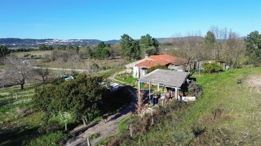 Terreno Agricola ou Rústico para Venda em Penamacor Foto 11