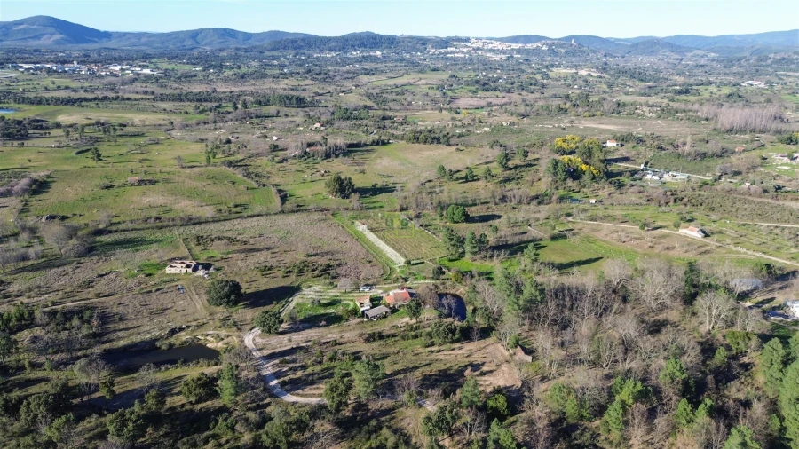 Terreno Agricola ou Rústico para Venda em Penamacor Foto 19
