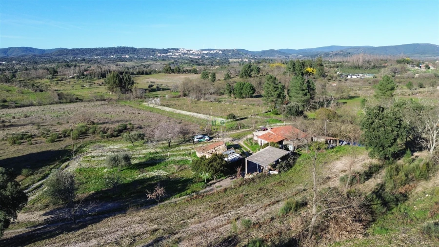 Terreno Agricola ou Rústico para Venda em Penamacor Foto 10