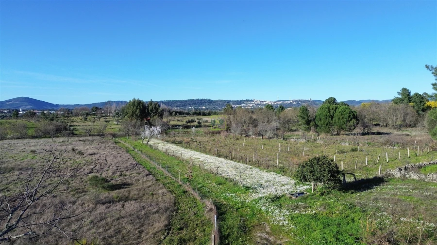 Terreno Agricola ou Rústico para Venda em Penamacor Foto 4