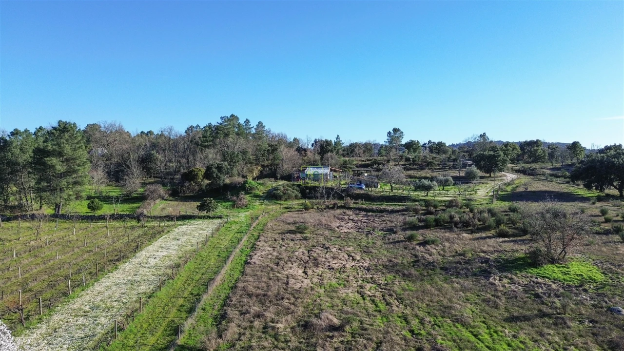 Terreno Agricola ou Rústico para Venda em Penamacor Foto 7