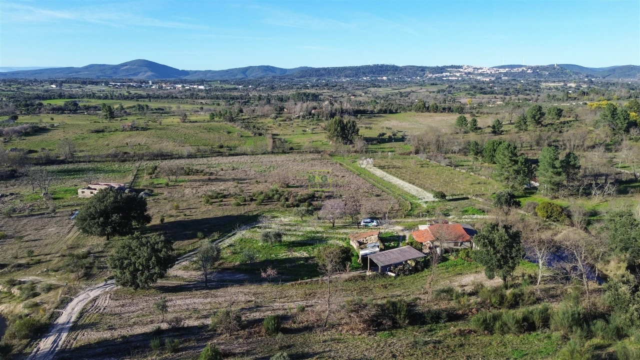 Terreno Agricola ou Rústico para Venda em Penamacor Foto 28