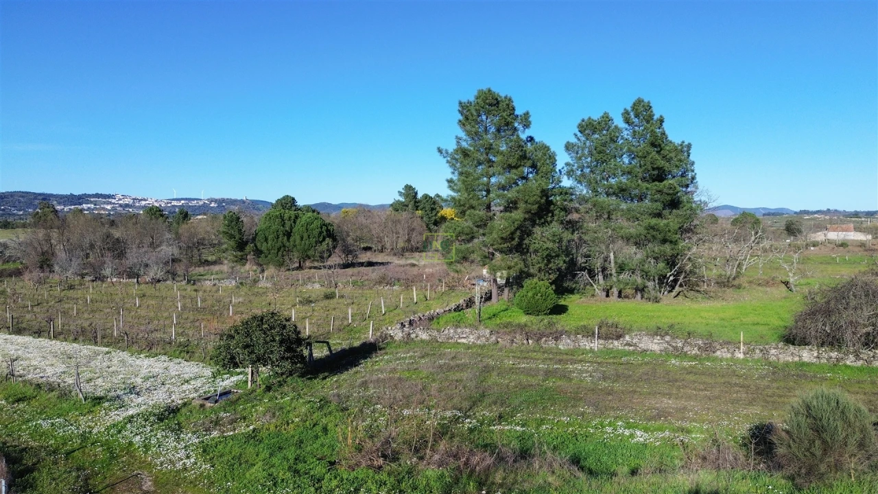 Terreno Agricola ou Rústico para Venda em Penamacor Foto 5