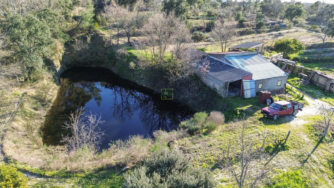 Terreno Agricola ou Rústico para Venda em Penamacor Foto 9