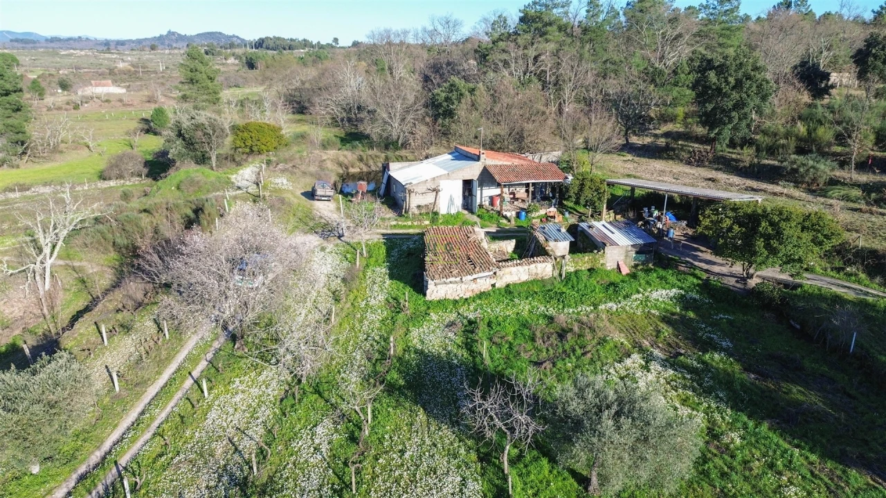 Terreno Agricola ou Rústico para Venda em Penamacor Foto 21