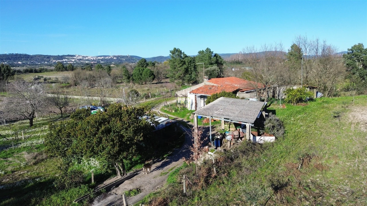 Terreno Agricola ou Rústico para Venda em Penamacor Foto 11
