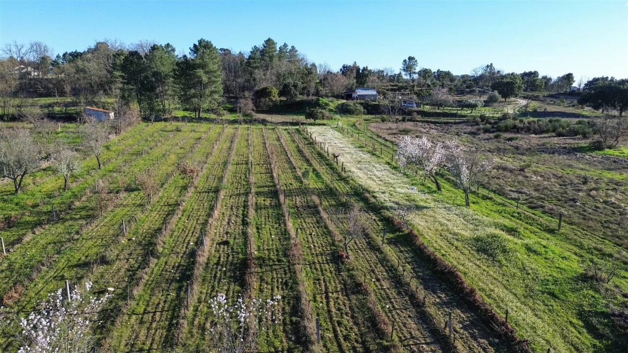 Terreno Agricola ou Rústico para Venda em Penamacor Foto 27