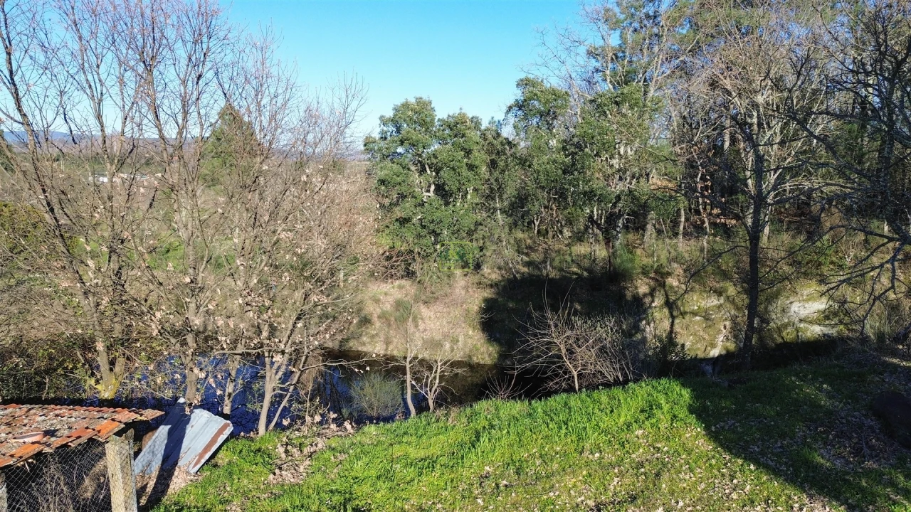 Terreno Agricola ou Rústico para Venda em Penamacor Foto 14
