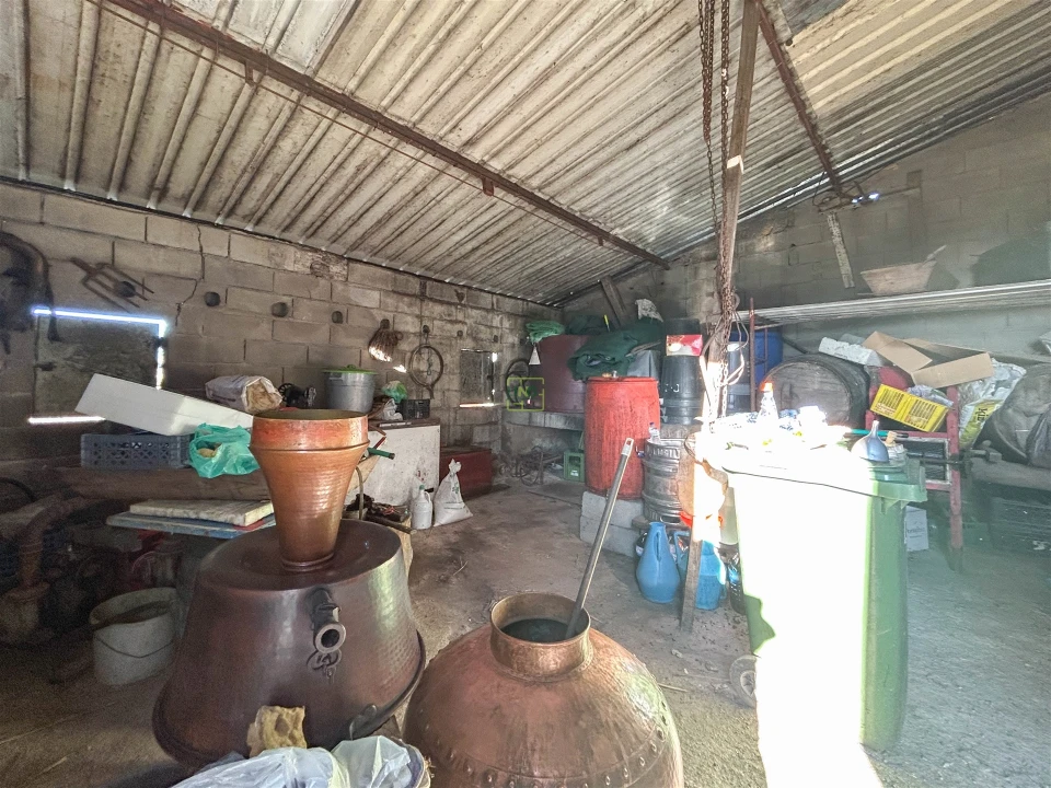 Terreno Agricola ou Rústico para Venda em Penamacor Foto 33