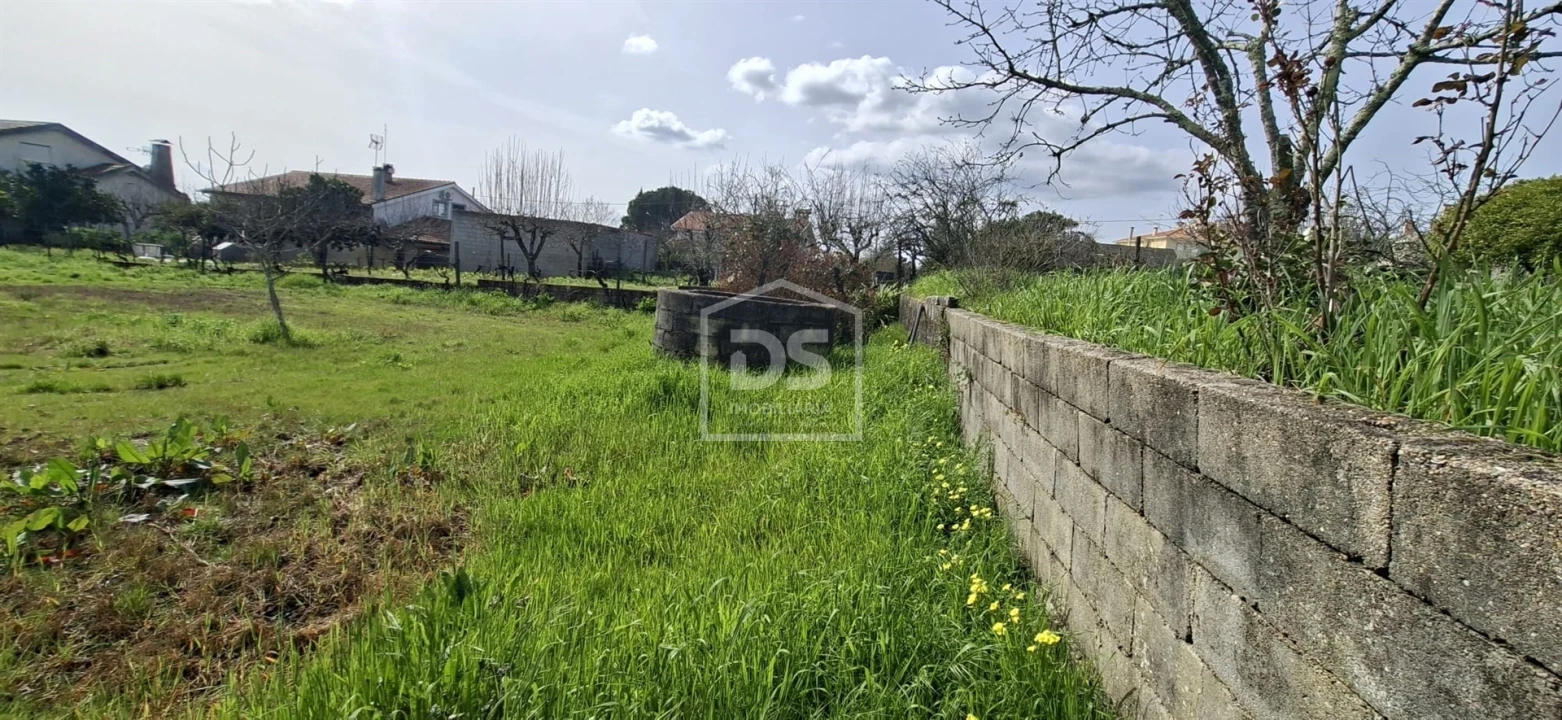 Terreno para Venda em Currelos, Papízios e Sobral Foto 5
