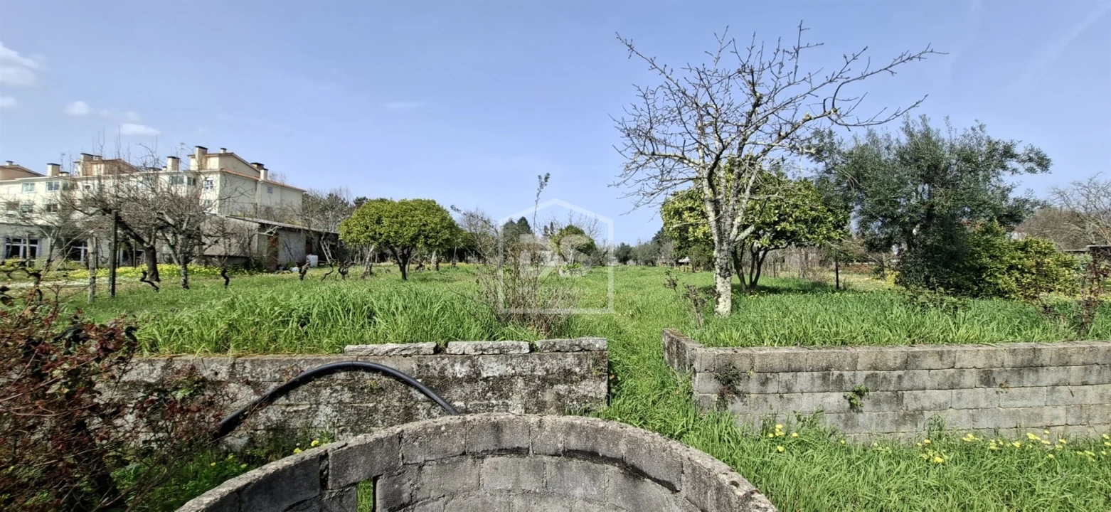 Terreno para Venda em Currelos, Papízios e Sobral Foto 22