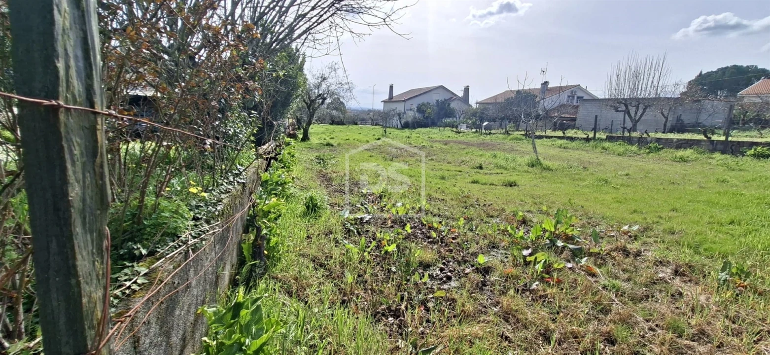 Terreno para Venda em Currelos, Papízios e Sobral Foto 18