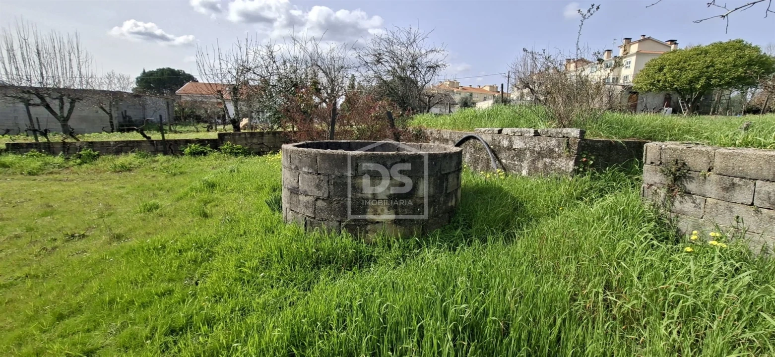 Terreno para Venda em Currelos, Papízios e Sobral Foto 13