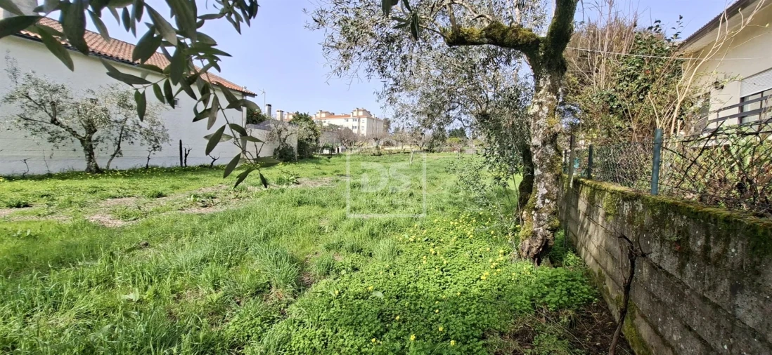 Terreno para Venda em Currelos, Papízios e Sobral Foto 28
