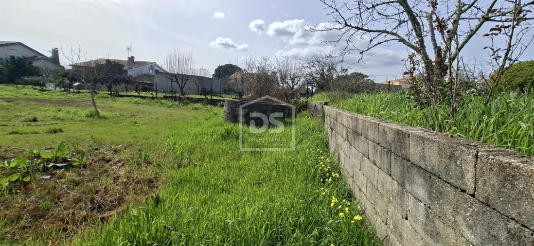 Terreno para Venda em Currelos, Papízios e Sobral Foto 5