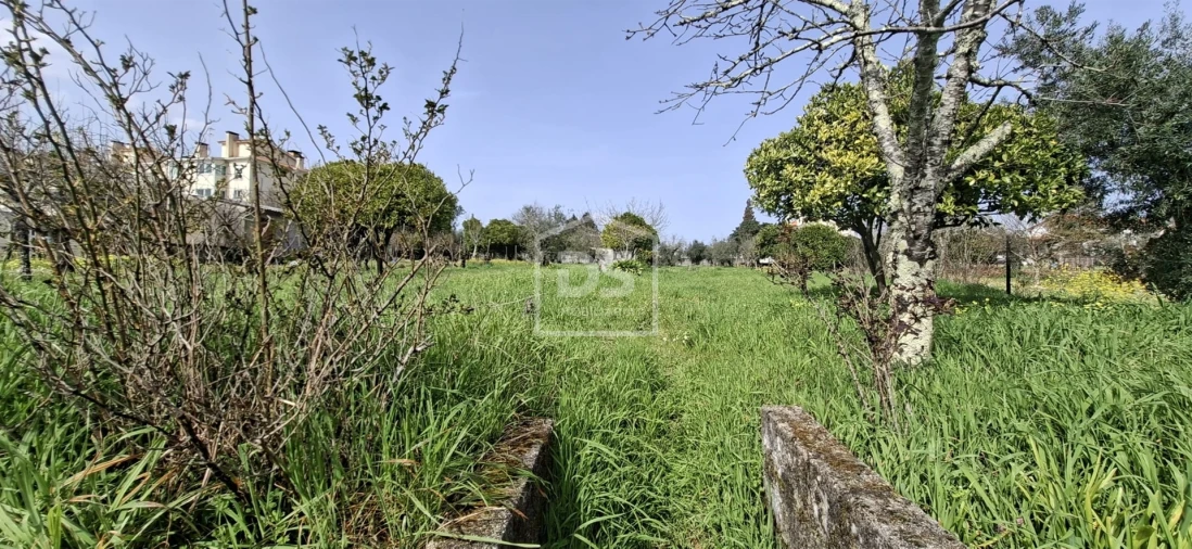 Terreno para Venda em Currelos, Papízios e Sobral Foto 25