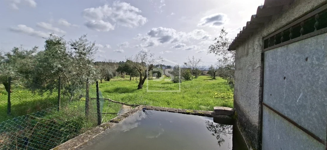 Terreno para Venda em Currelos, Papízios e Sobral Foto 4