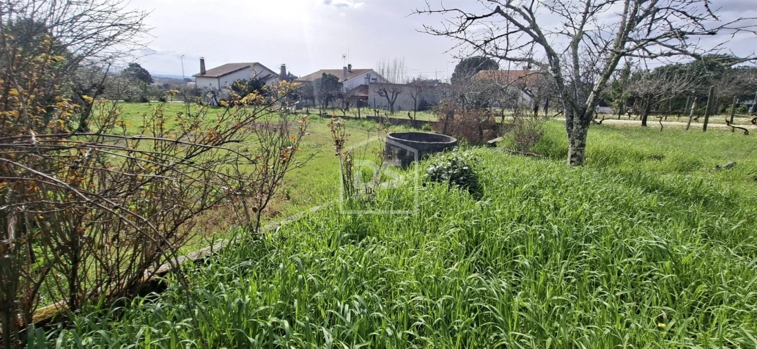 Terreno para Venda em Currelos, Papízios e Sobral Foto 30