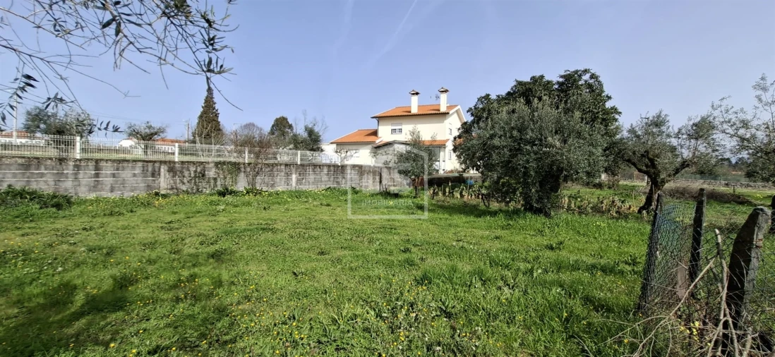 Terreno para Venda em Currelos, Papízios e Sobral Foto 27