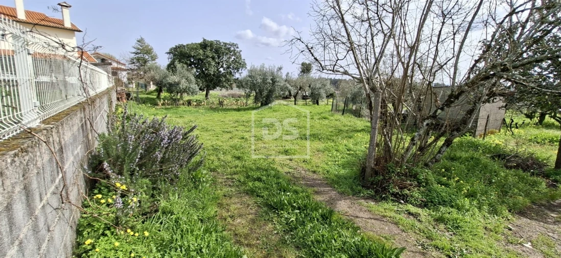 Terreno para Venda em Currelos, Papízios e Sobral Foto 19