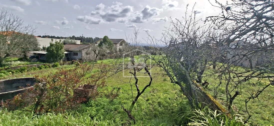 Terreno para Venda em Currelos, Papízios e Sobral Foto 7