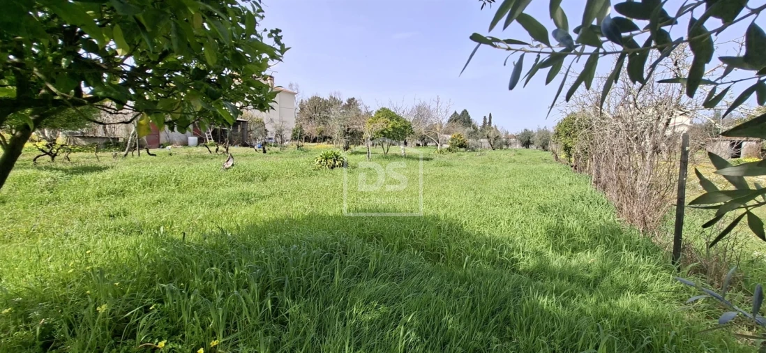 Terreno para Venda em Currelos, Papízios e Sobral Foto 20