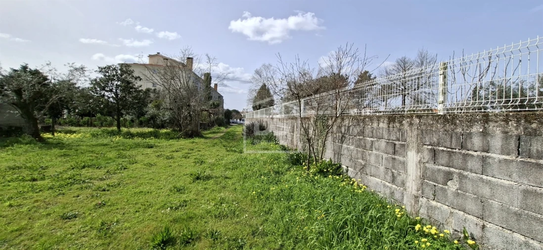 Terreno para Venda em Currelos, Papízios e Sobral Foto 23