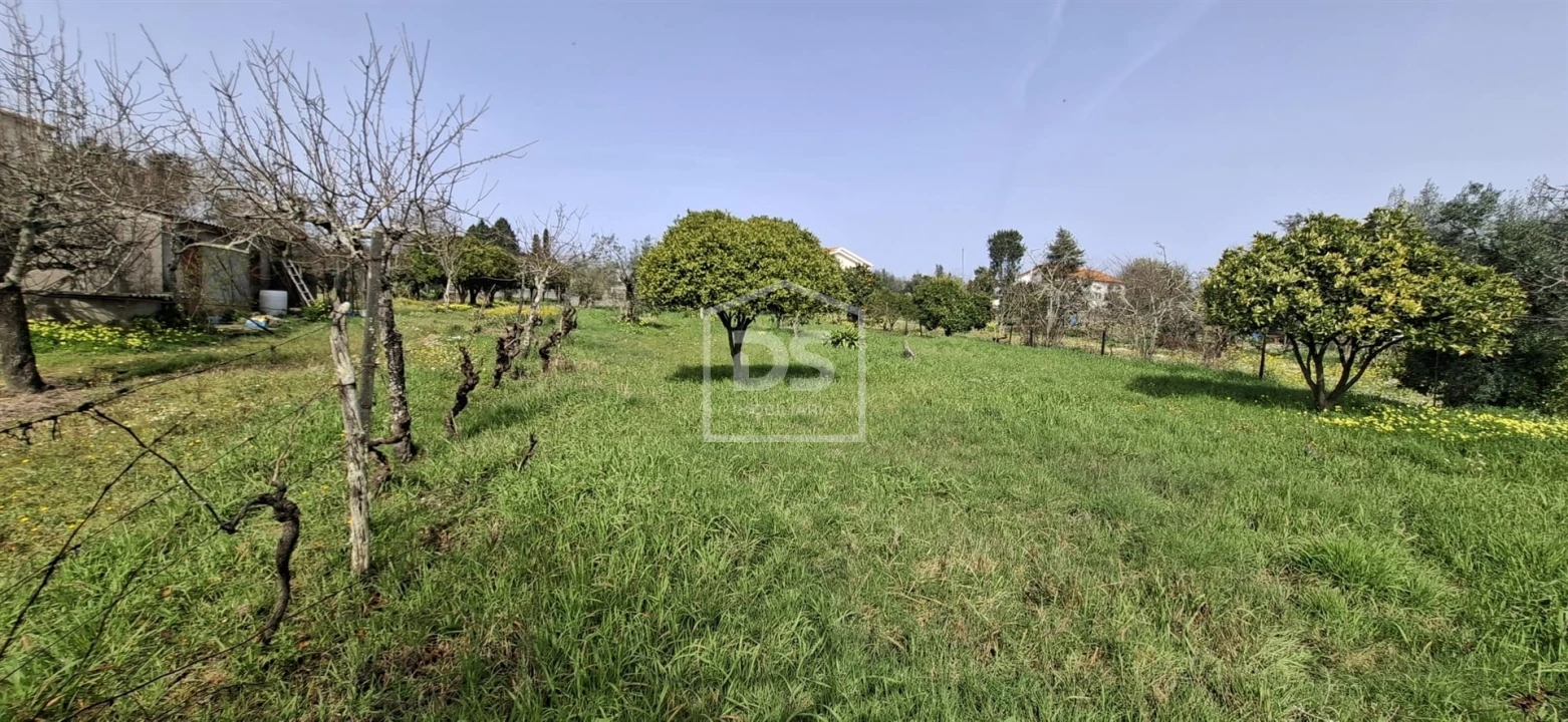 Terreno para Venda em Currelos, Papízios e Sobral Foto 1