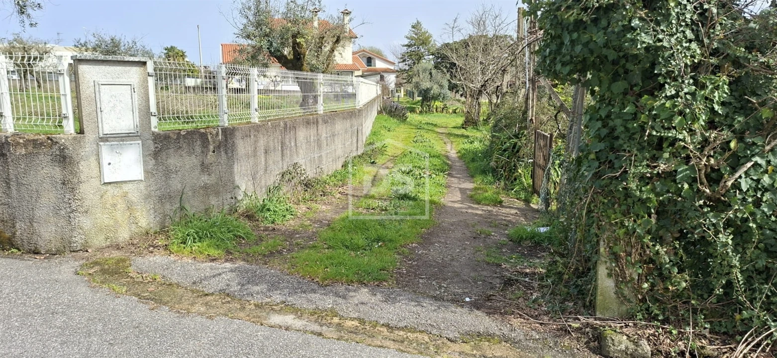 Terreno para Venda em Currelos, Papízios e Sobral Foto 17