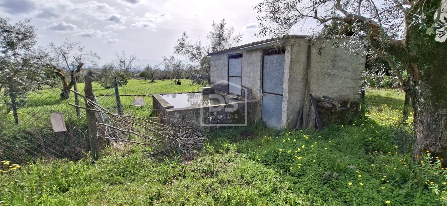 Terreno para Venda em Currelos, Papízios e Sobral Foto 26