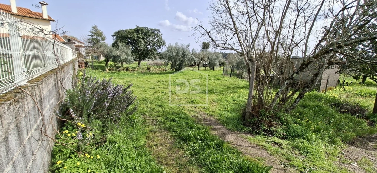 Terreno para Venda em Currelos, Papízios e Sobral Foto 19