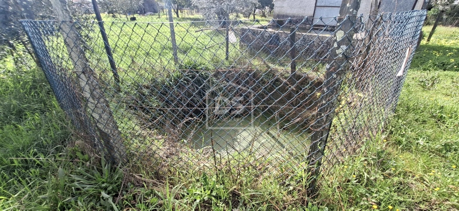 Terreno para Venda em Currelos, Papízios e Sobral Foto 24