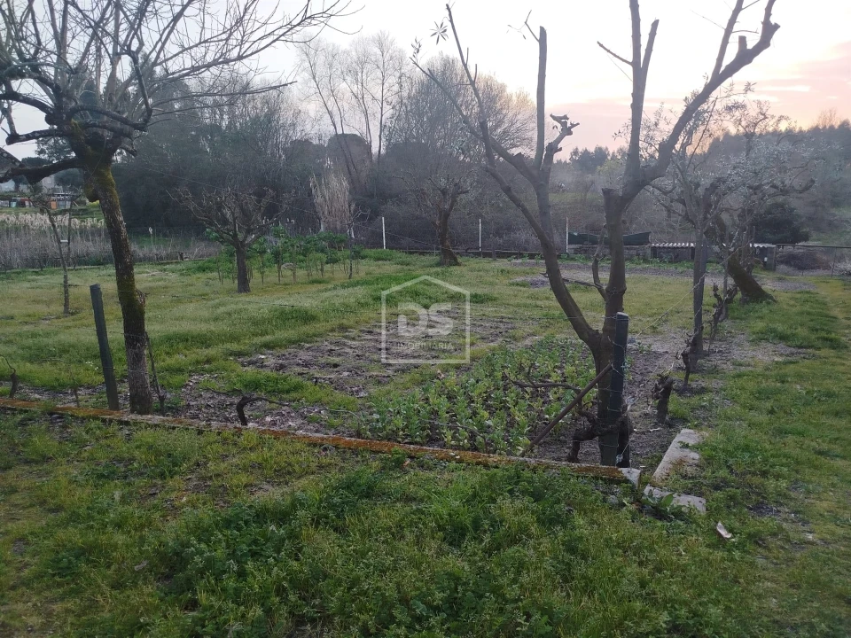 Terreno Misto para Venda em Currelos, Papízios e Sobral Foto 26