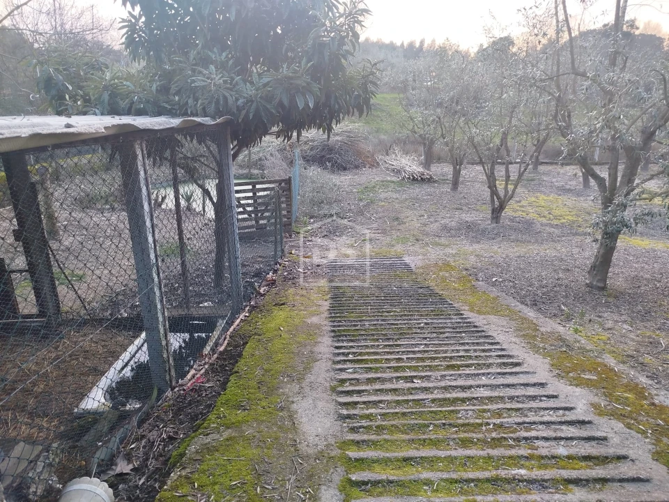 Terreno Misto para Venda em Currelos, Papízios e Sobral Foto 30