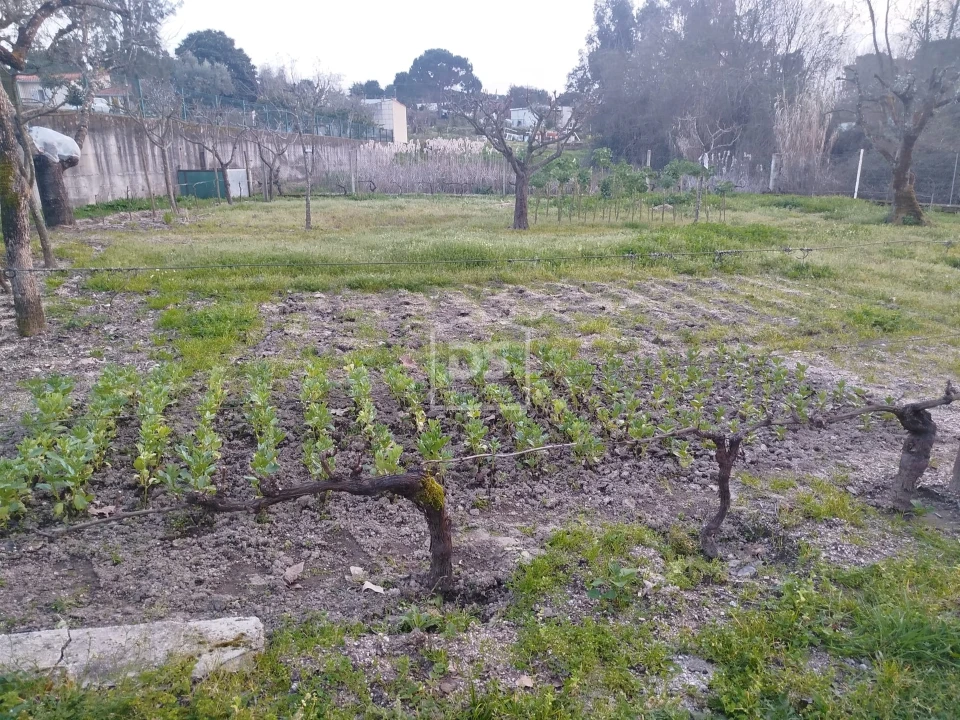 Terreno Misto para Venda em Currelos, Papízios e Sobral Foto 23